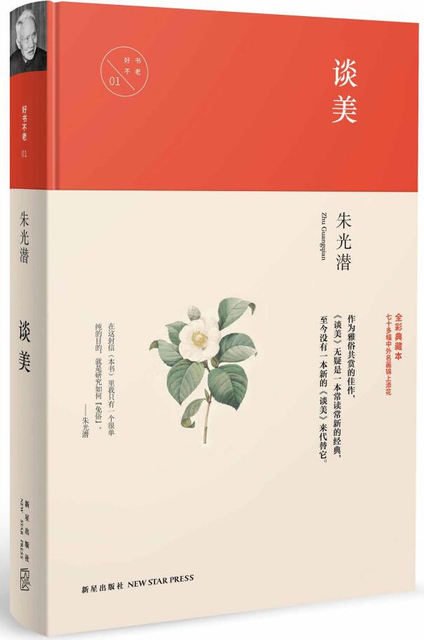 谈美 (中国文化丛书·经典随行)  封面